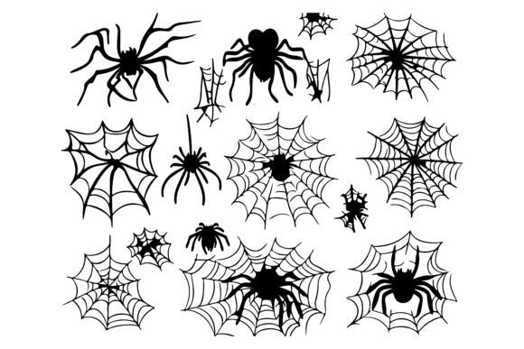 Spider Web Vector: Cobweb Decoration Ca